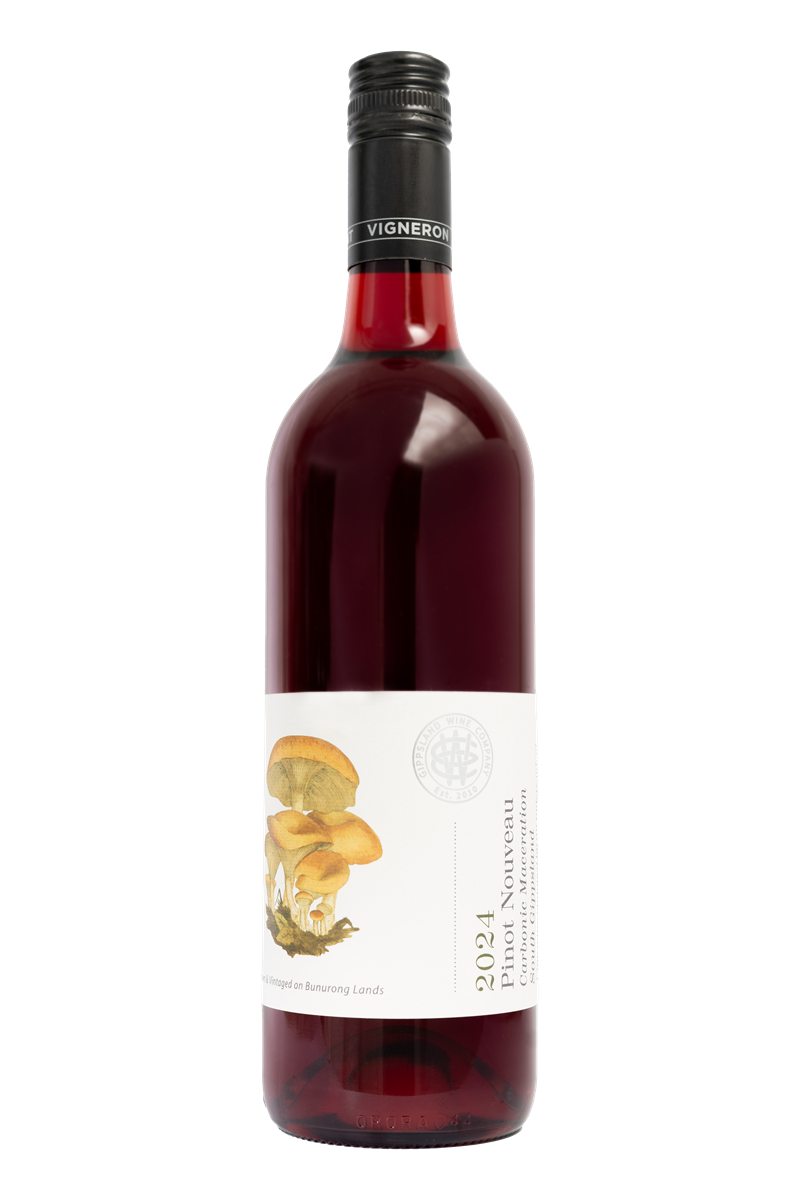 Picture of 2024 Pinot Nouveau