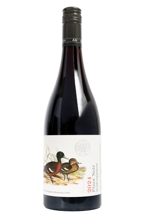 Picture of 2024 South Gippsland Pinot Noir