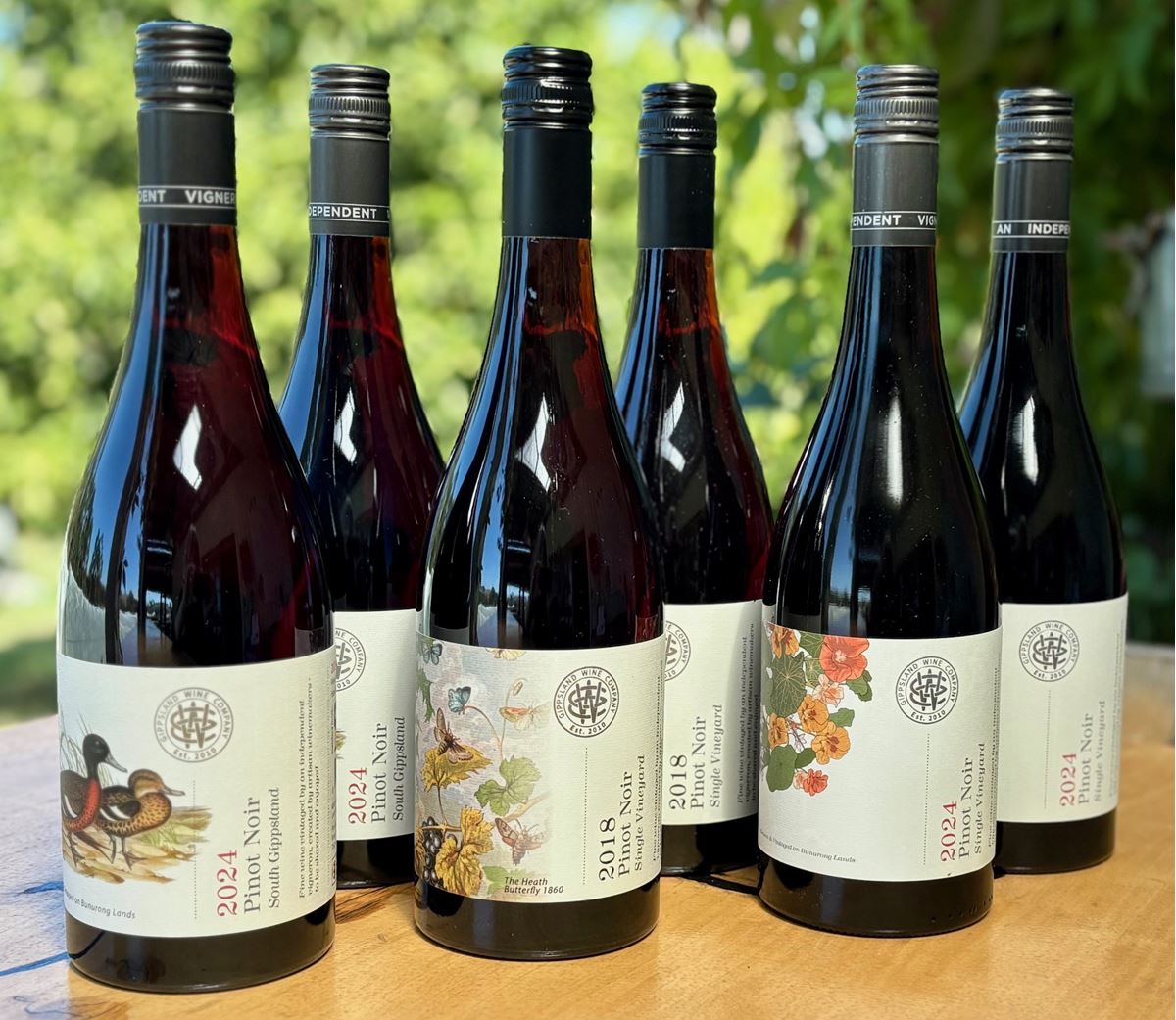 Picture of Special Offer Pinot Noir Pack